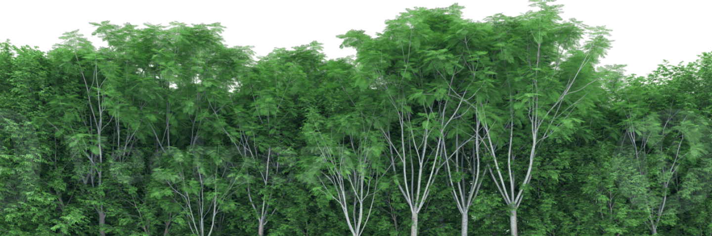 trees